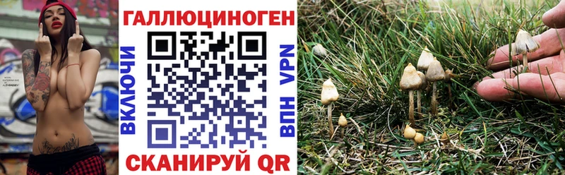 Галлюциногенные грибы Psilocybine cubensis  Пикалёво 